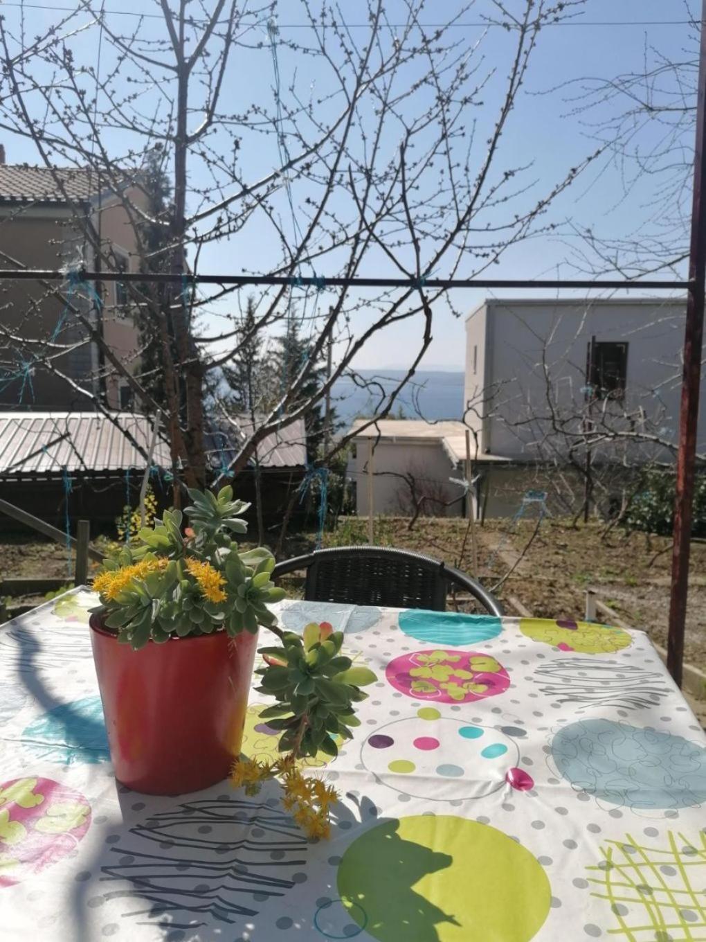 Apartments Olgi - Free Parking 크리크베니카 외부 사진